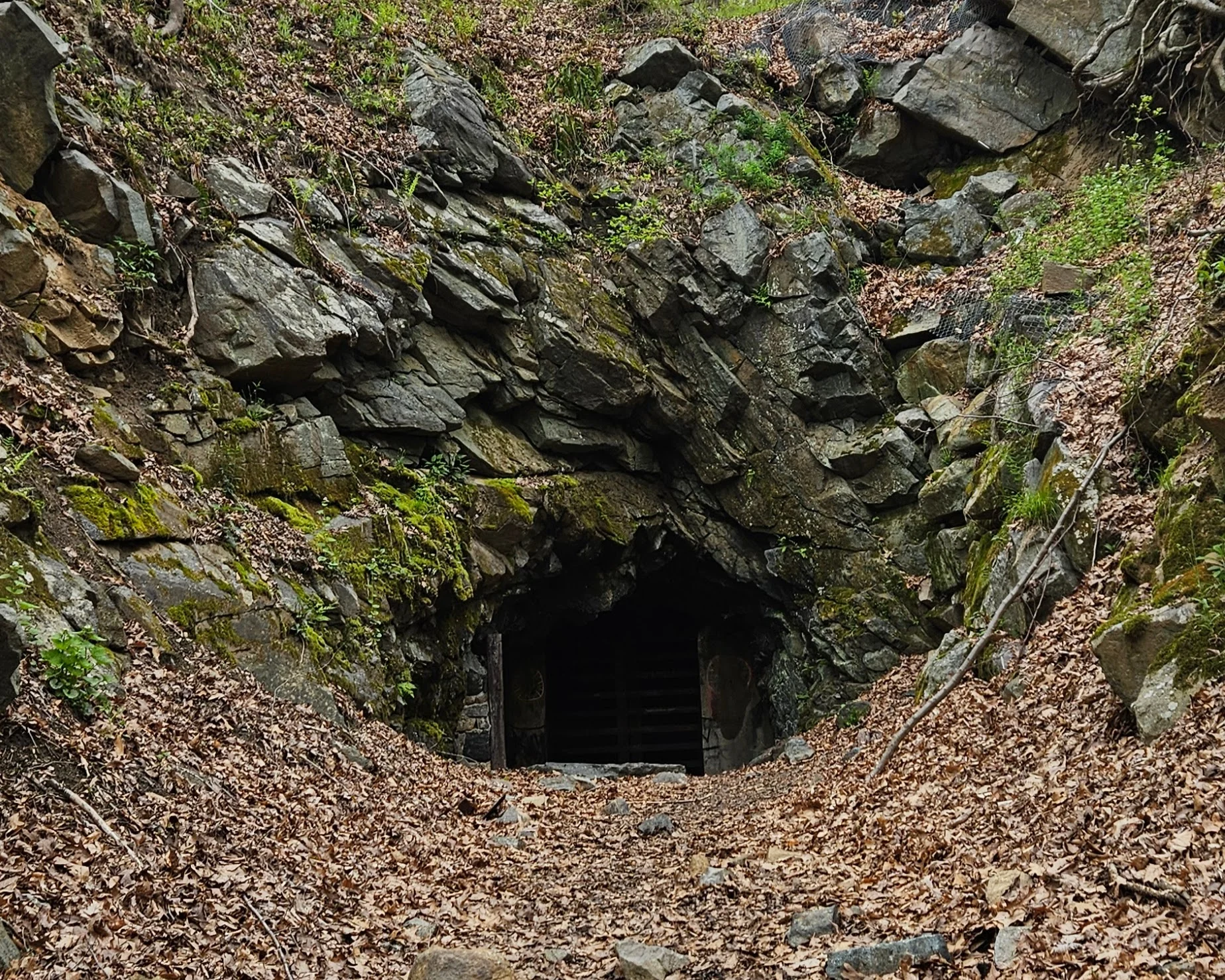 Hibernia Mine at Wildcat Ridge