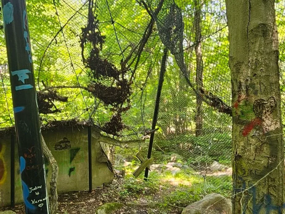 Exploring an Abandoned Zoo at Jungle Habitat 4 Aviary ruins at Jungle Habitat