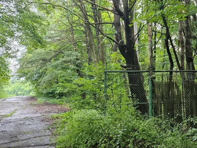 Exploring an Abandoned Zoo at Jungle Habitat 6 A fence entering Jungle Habitat