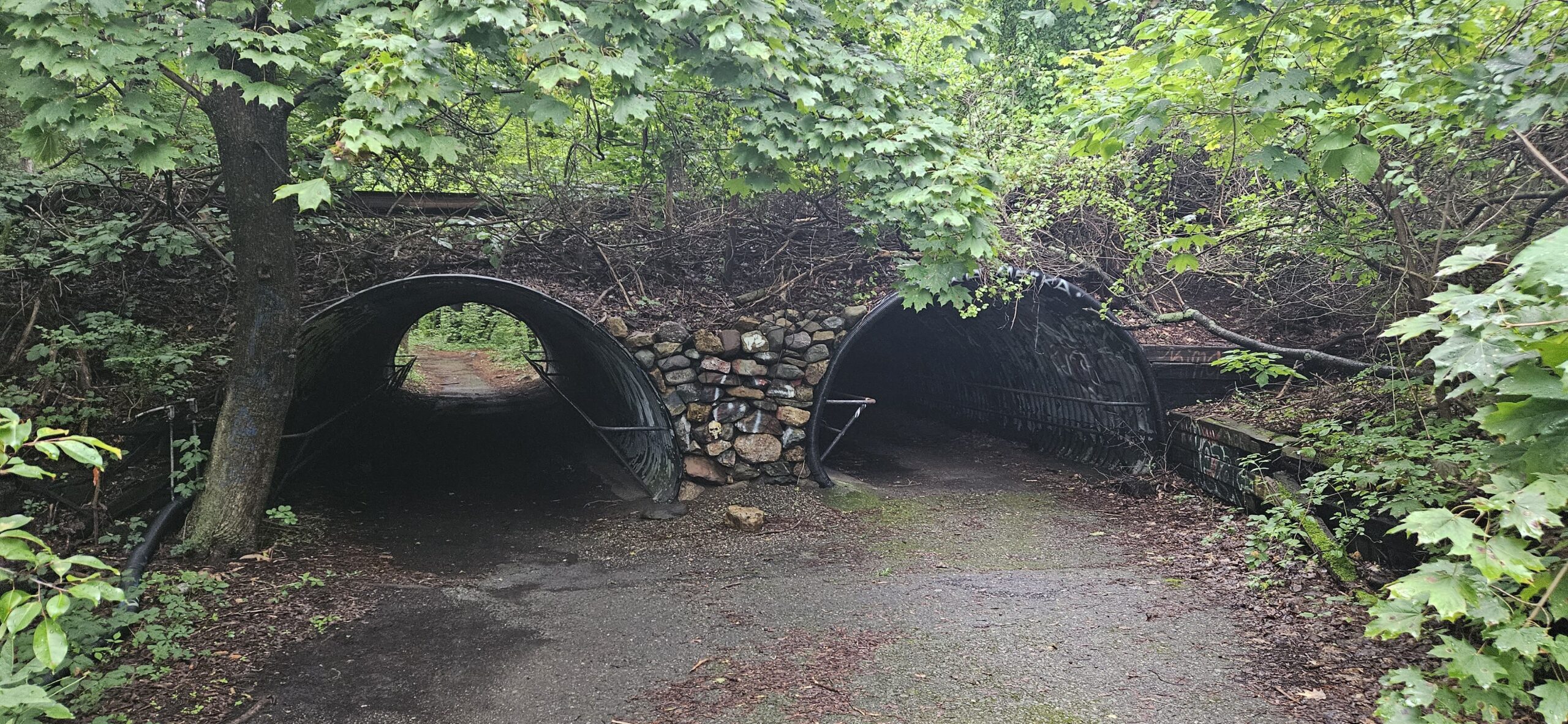 Exploring an Abandoned Zoo at Jungle Habitat