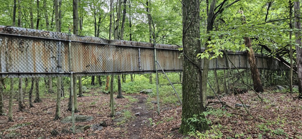 Fence at Jungle Habitat