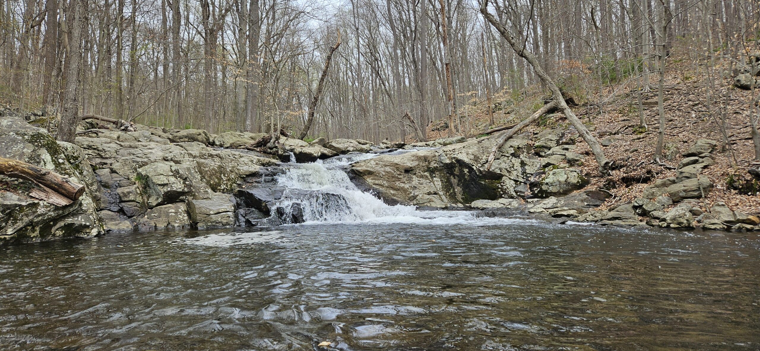 Exploring India Brook Park and Buttermilk Falls in Mendham