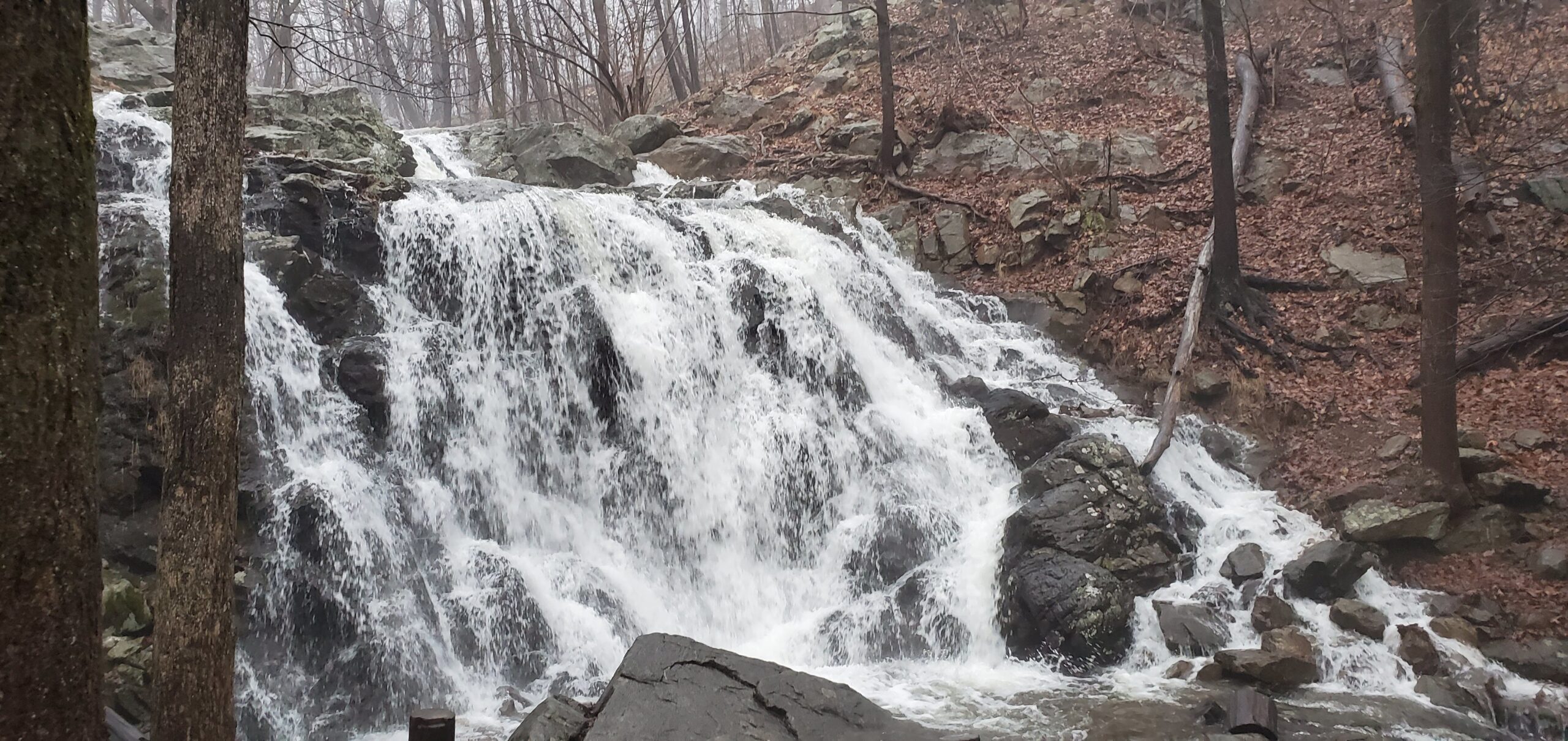 MacMillan Falls: An Easy to Reach Waterfall in Bergen County