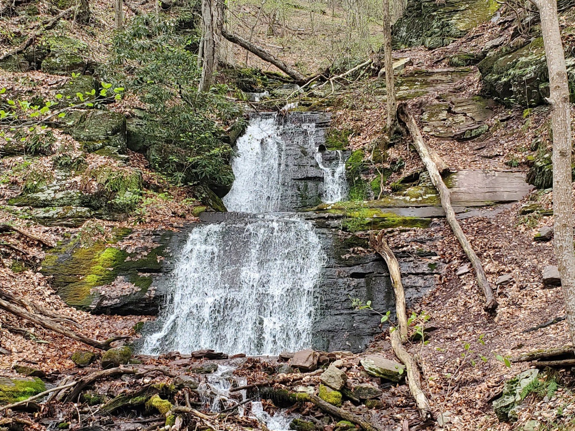 Finding the Hidden Laurel Falls in Worthington State Forest