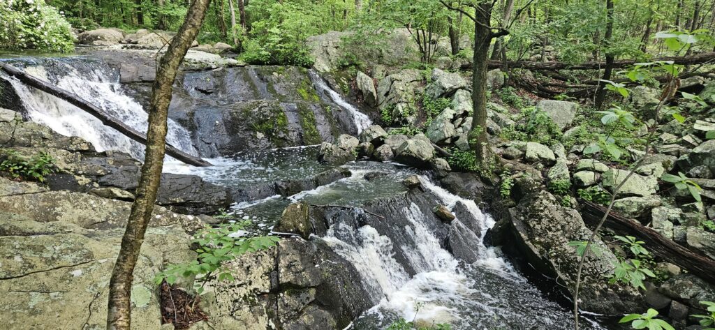 Otter Hole Falls at Norvin Green State Forest