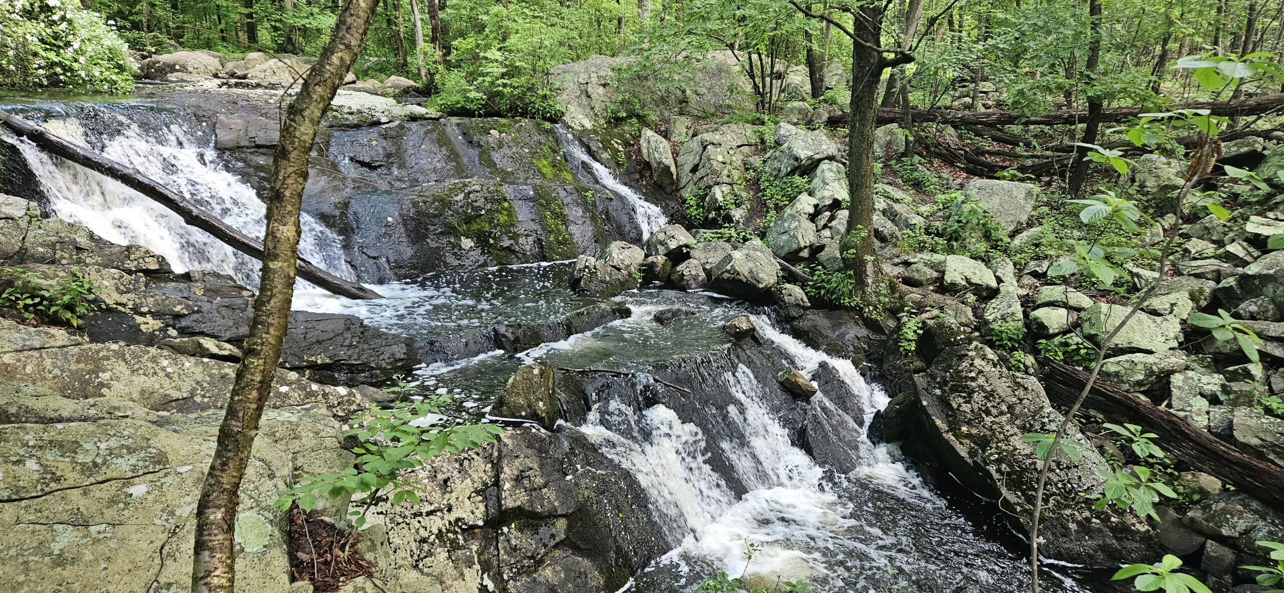 Otter Hole Falls at Norvin Green State Forest