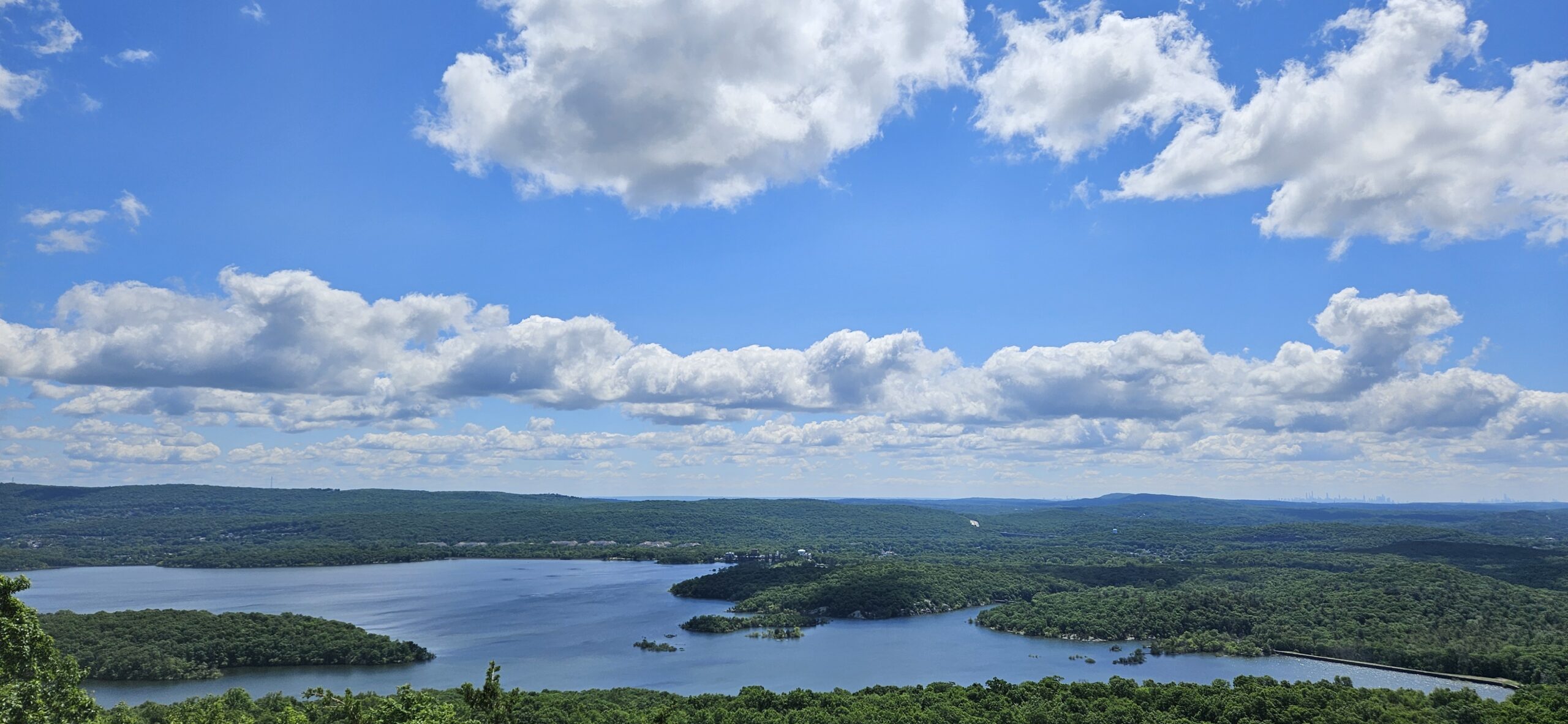 A view from Carris Hill at Norvin Green State Forest