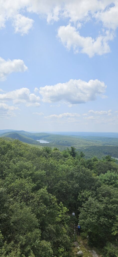 A view from the Culver Fire Tower