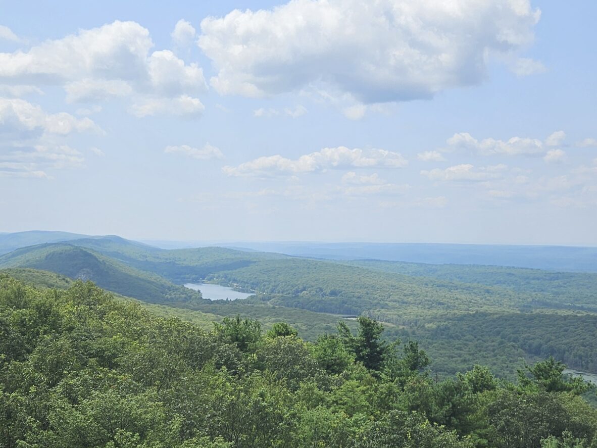 Culver Fire Tower View