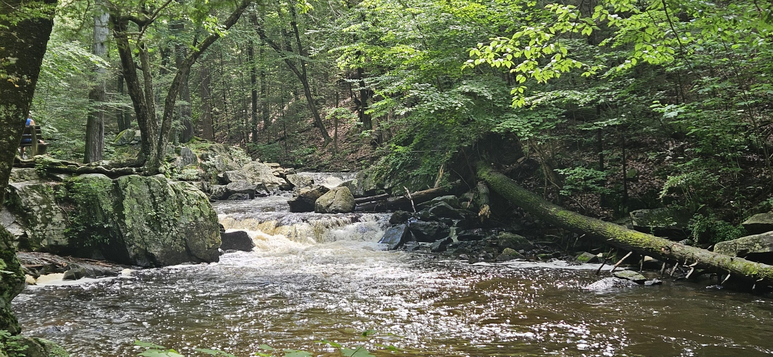 Waterfall at Hacklebarney State Park