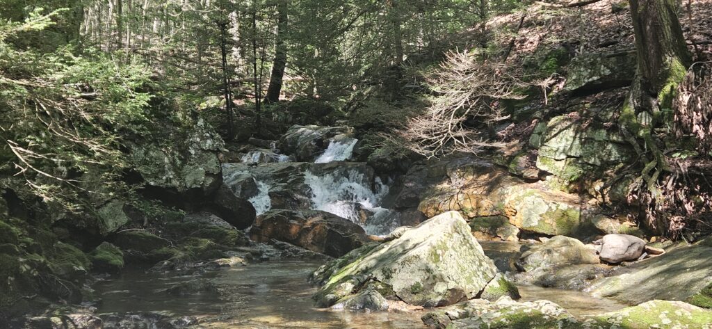 Lower Rinehart Brook Falls