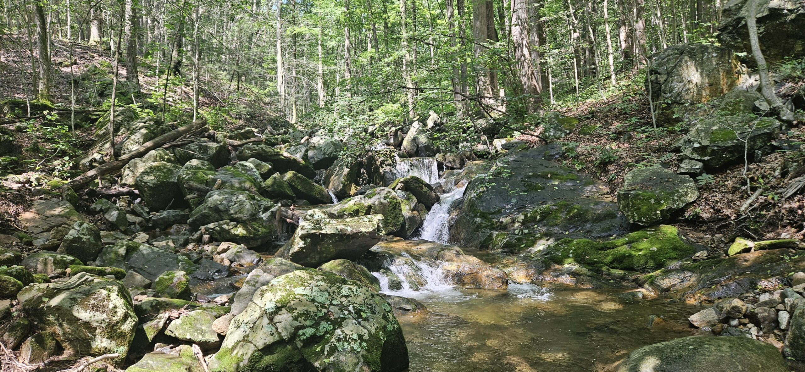 Waterfall at Hacklebarney State Park