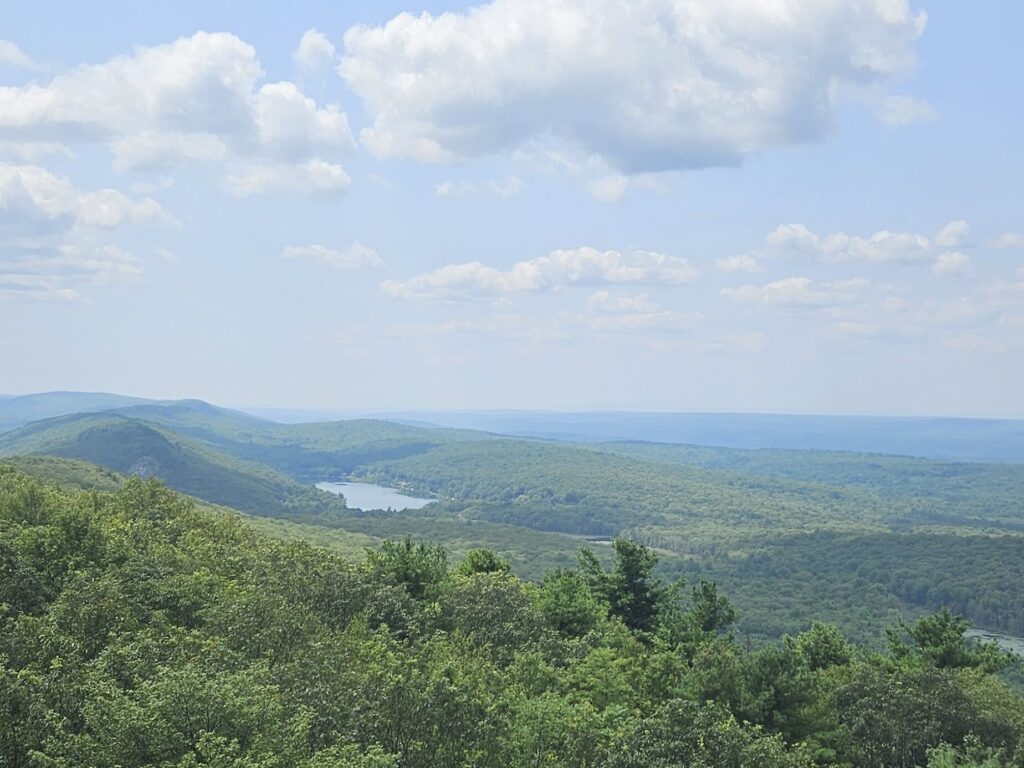 A view from the Culver Fire Tower