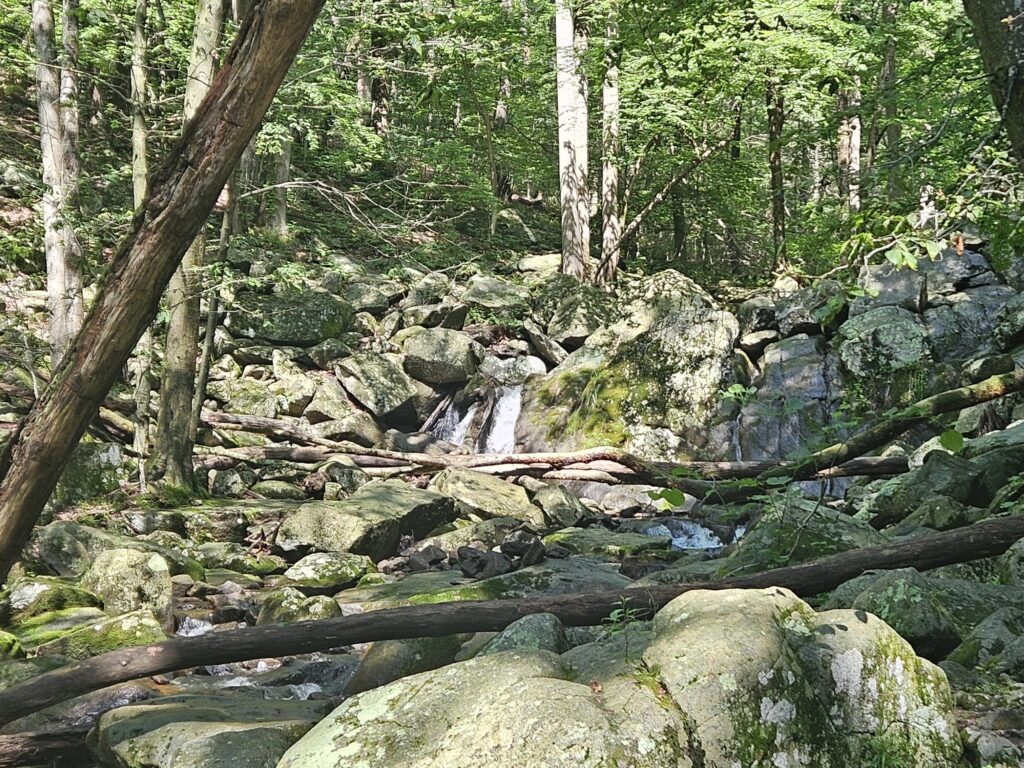 The Waterfalls of Hacklebarney State Park 2