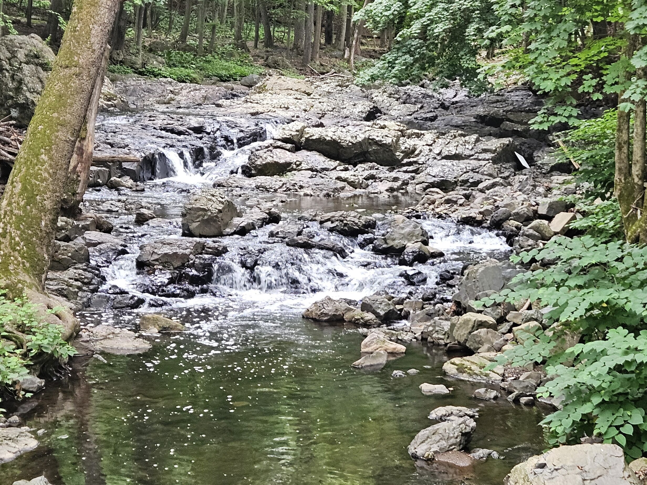 A series of small cascades along the Peckman River