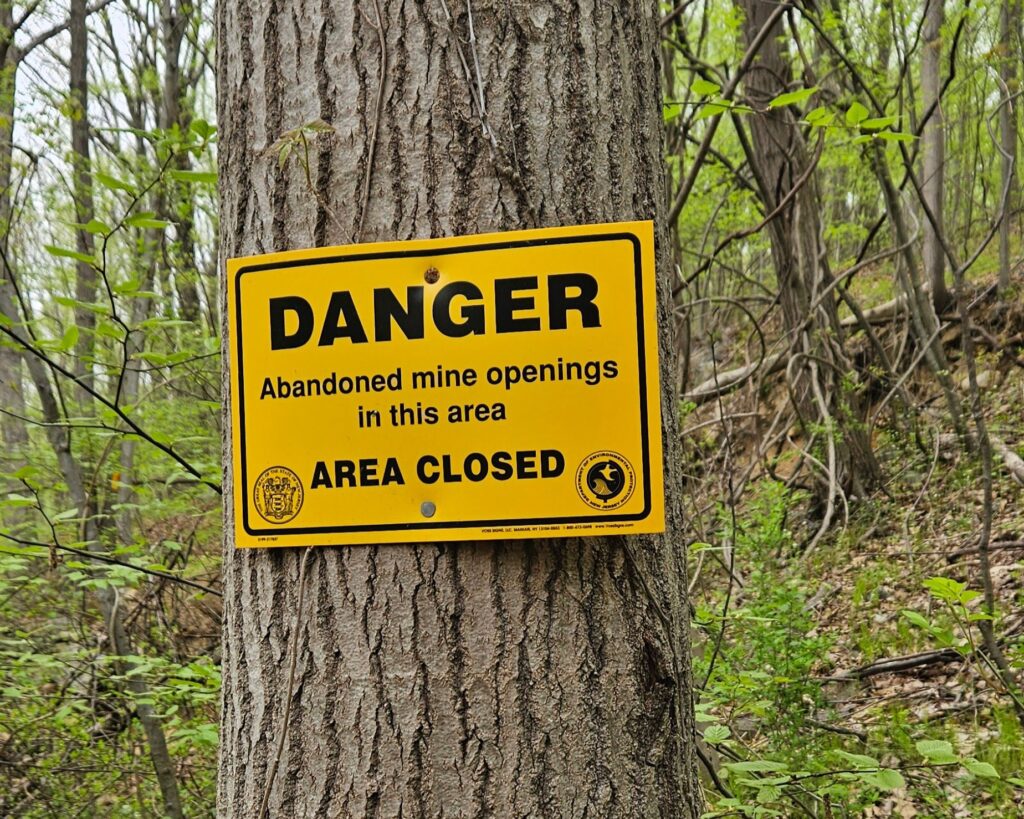 Wildcat Ridge: A Bat Cave, Cemetery and Hawk Watch 12