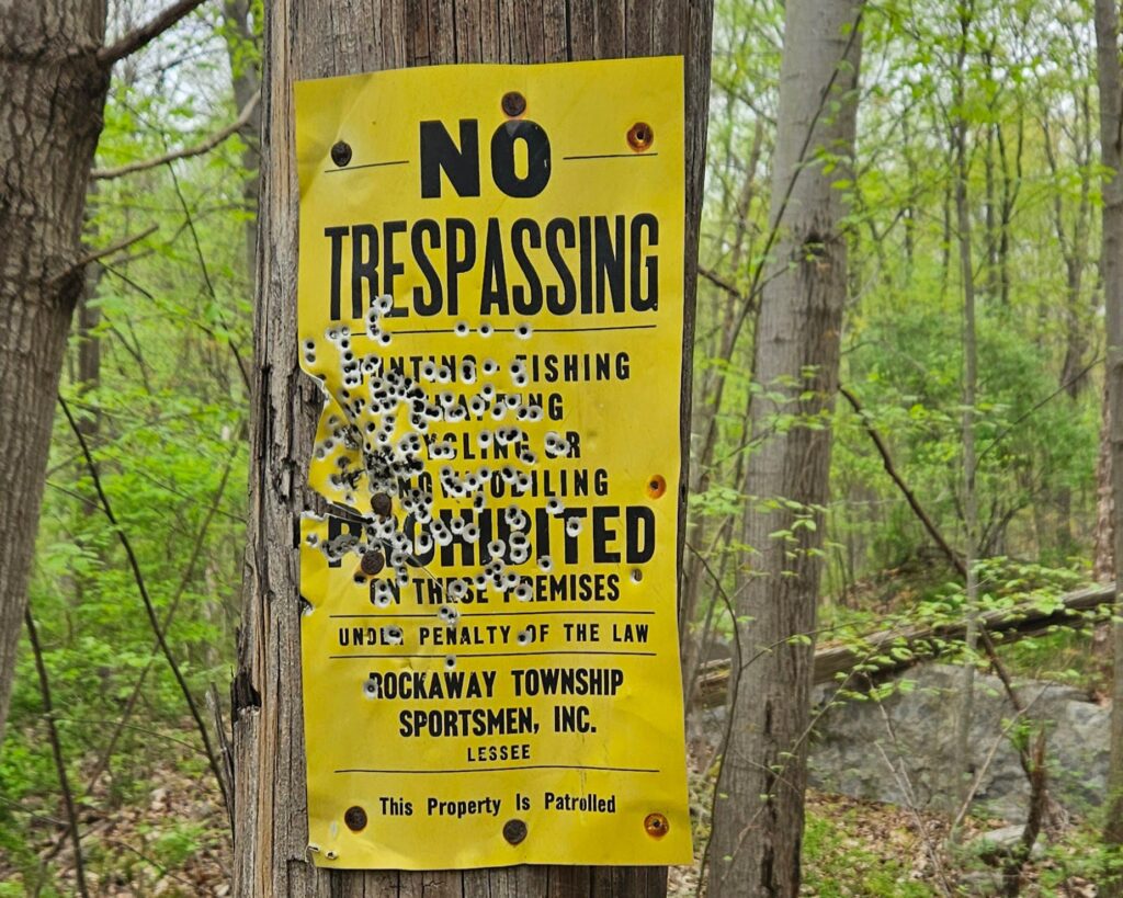 Wildcat Ridge: A Bat Cave, Cemetery and Hawk Watch 10