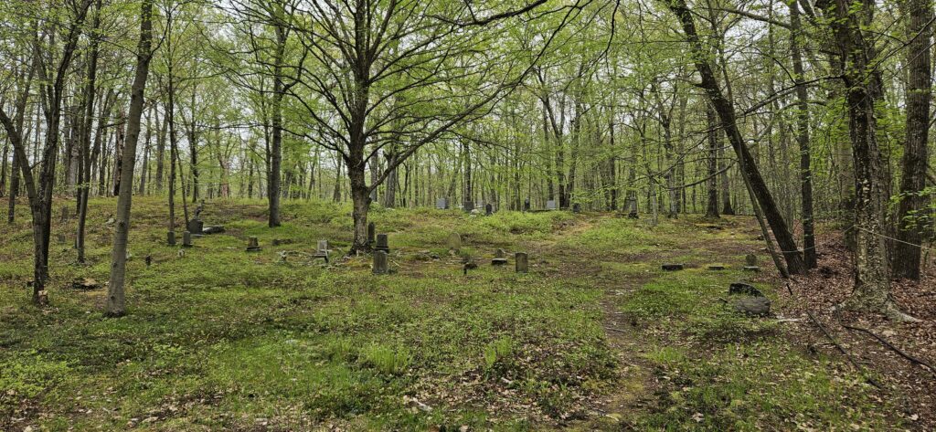 Wide view of Saint Patrick's Cemetery