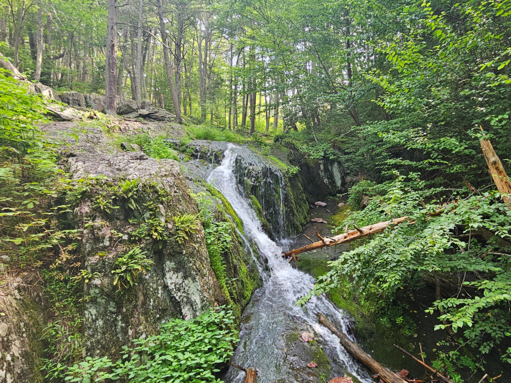 Lower Tillman Falls