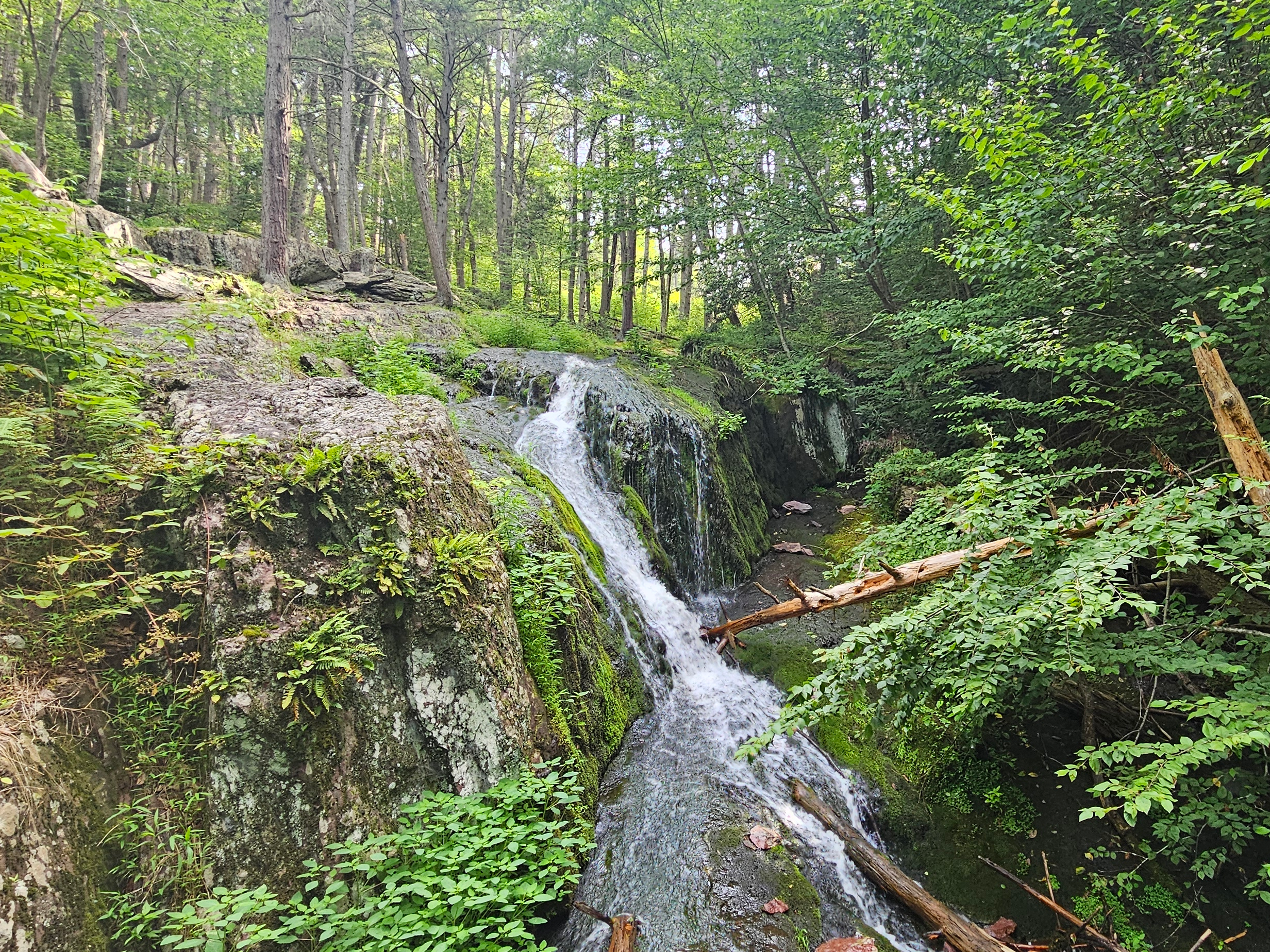 Lower Tillman Falls