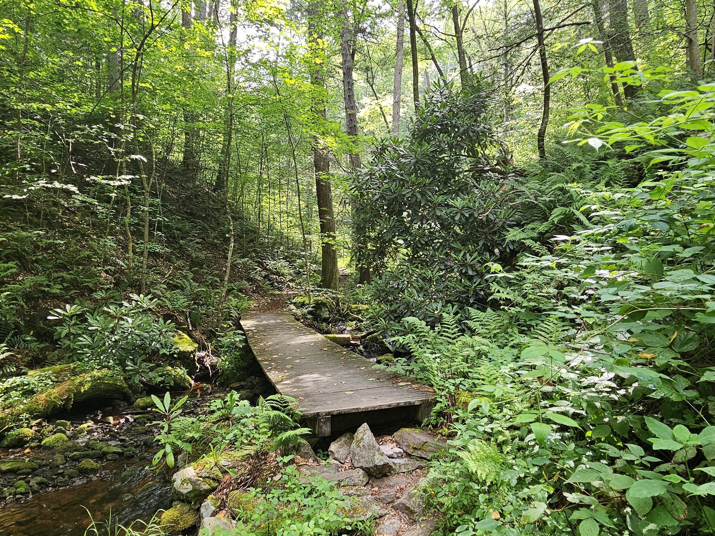 A small bridge through Tillman Ravine