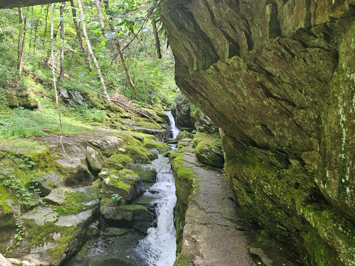 An image of an unnamed waterfall in Van Campens Glen