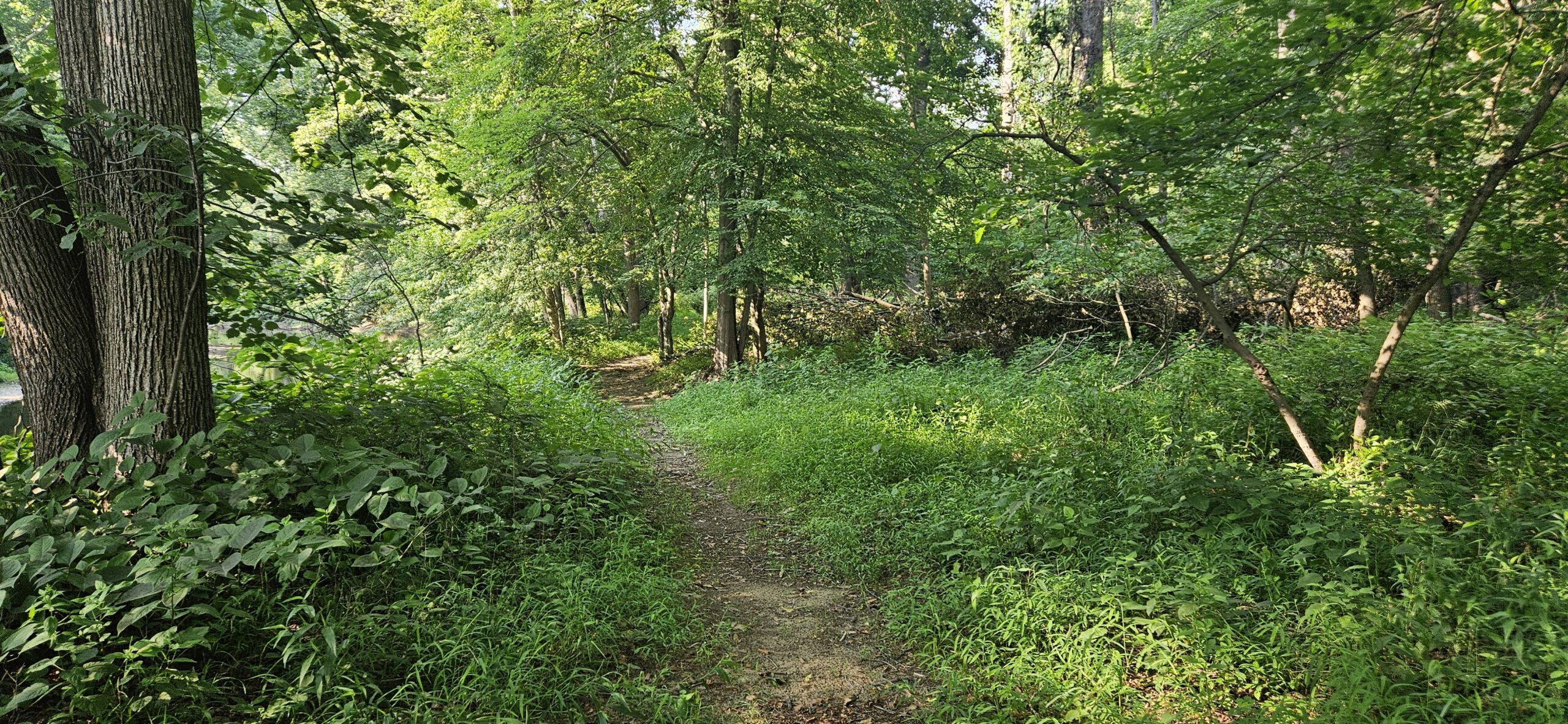 An image of a trail at Pompton Aquatic Park