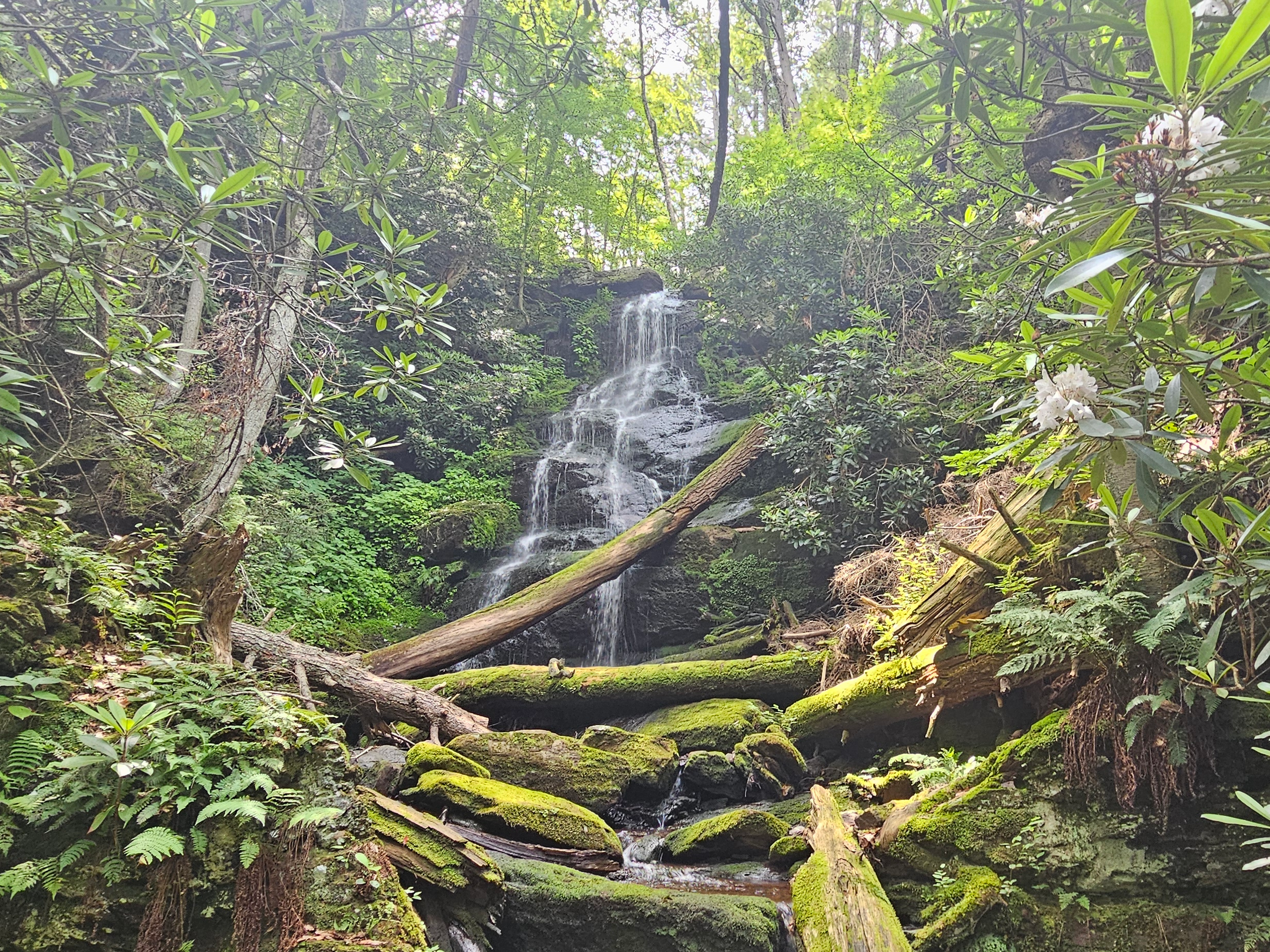 Explore the Excellent Silver Spray Falls (Hidden Falls) in Delaware Water Gap