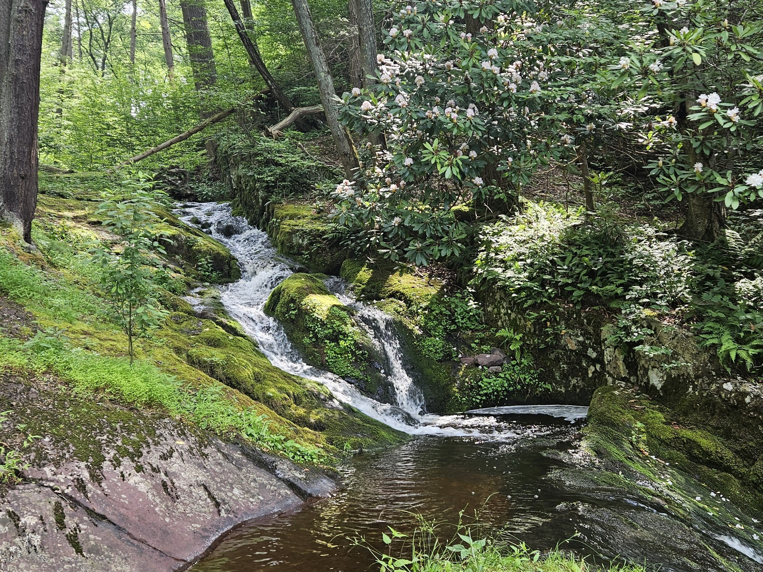Hiking the Scenic Tillman Ravine