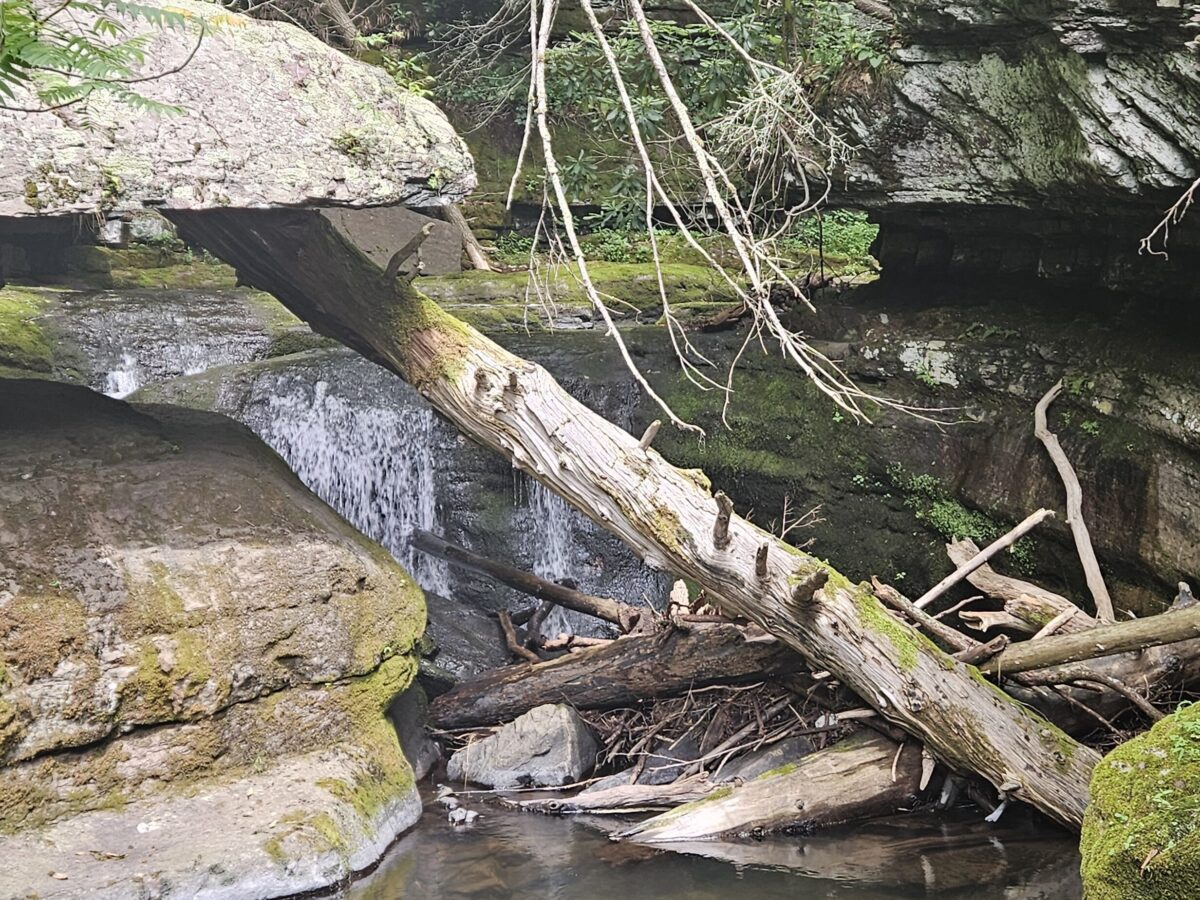 An image of Upper Van Campens Falls