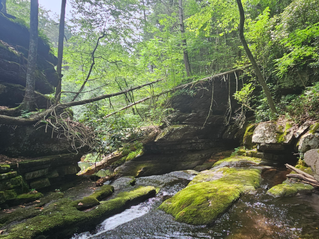 An image of Van Campens Glen