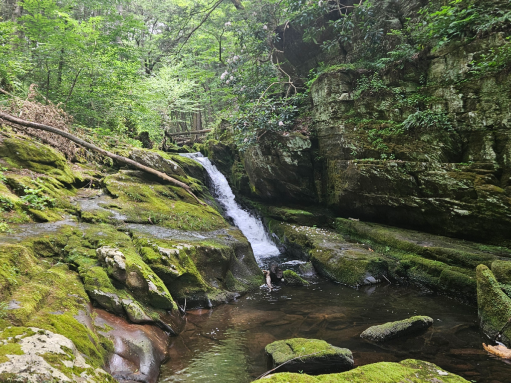 An image of an unnamed waterfall in Van Campens Glen