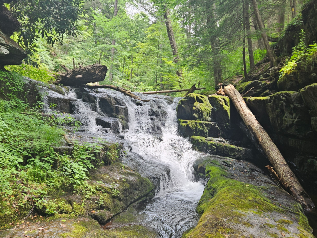An image of an unnamed waterfall in Van Campens Glen