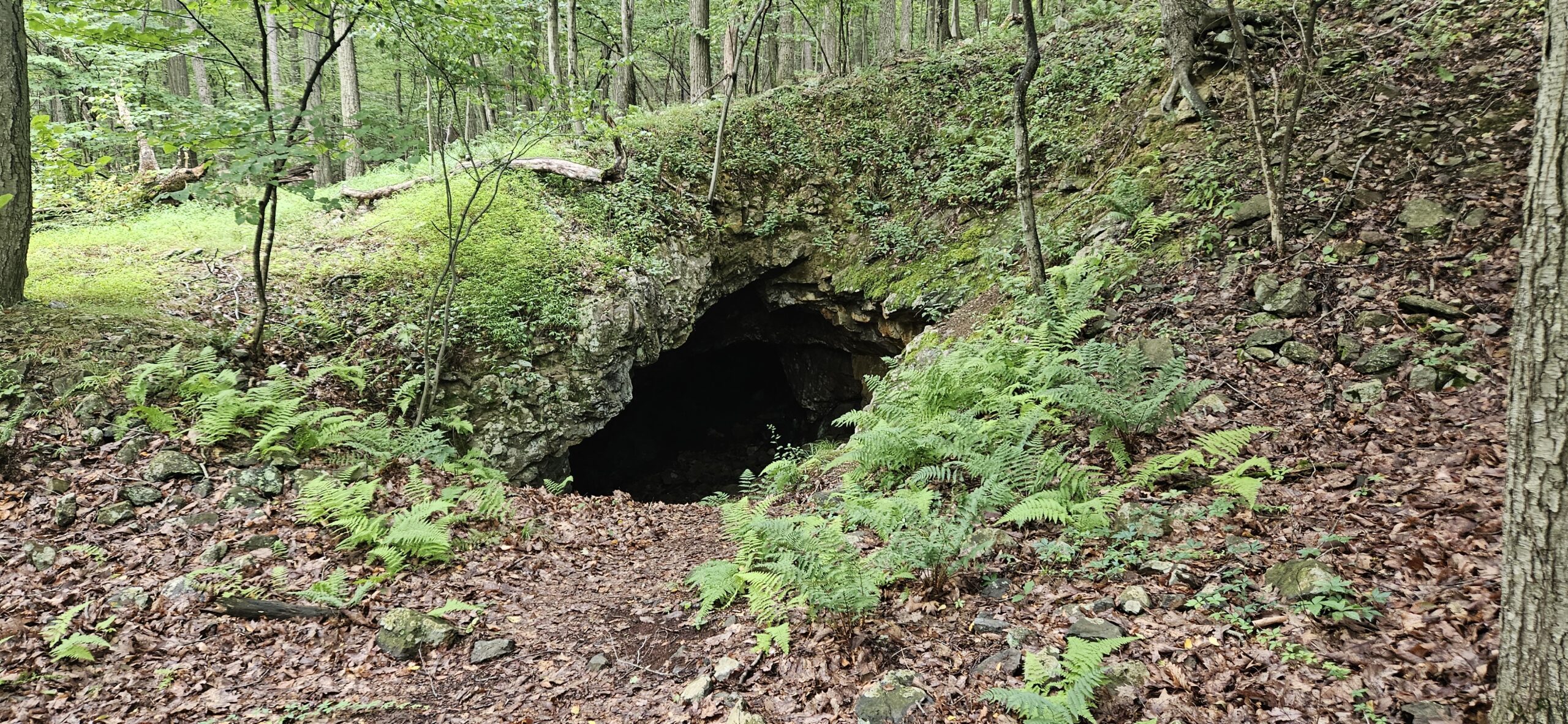 An image of the opening to Young's Mine