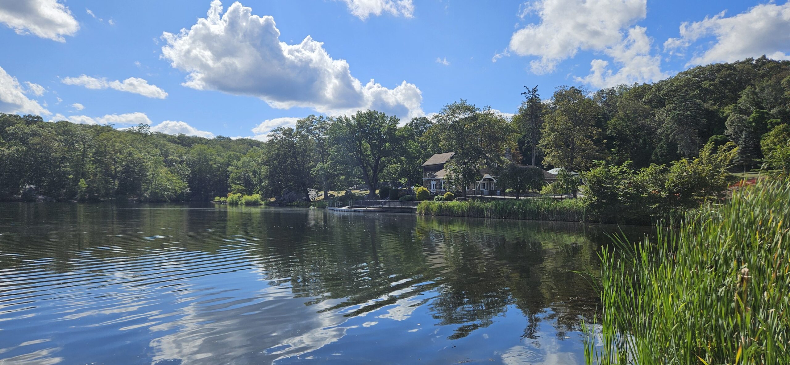 Silas Condict County Park Guide