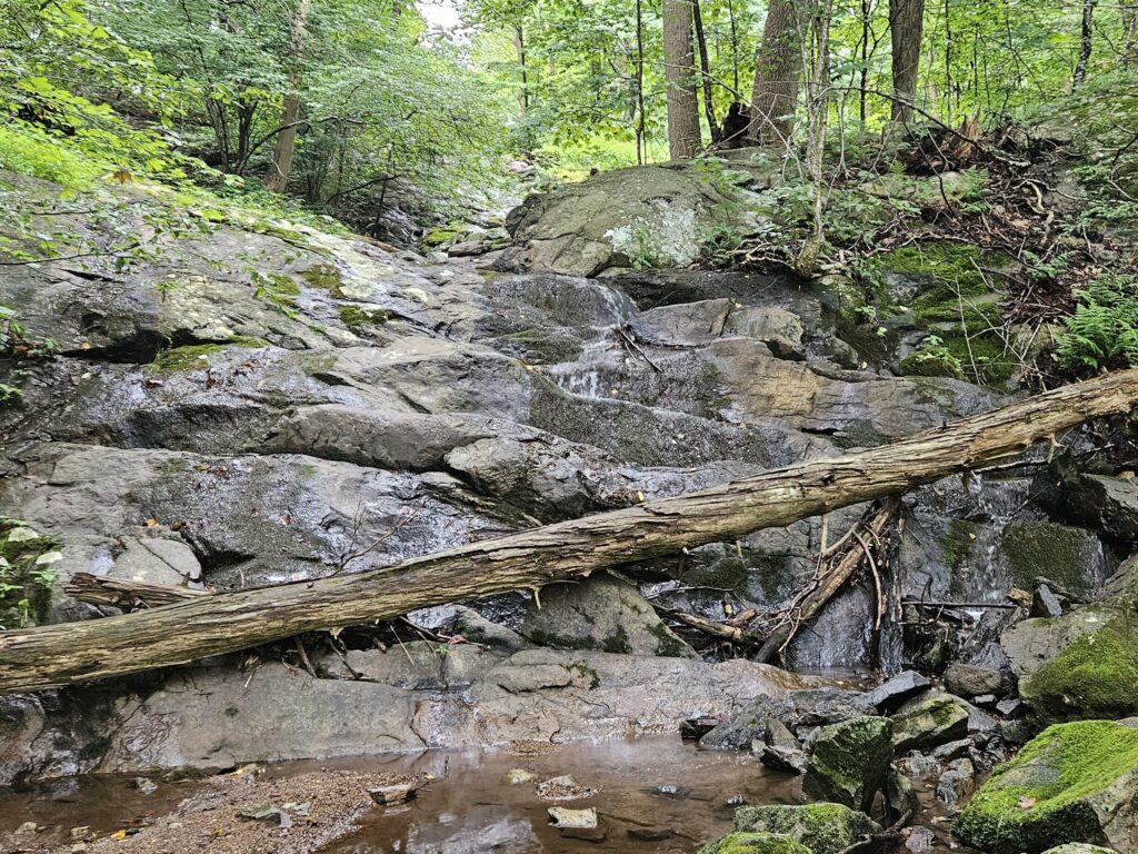 An image of the top of Cataract Falls