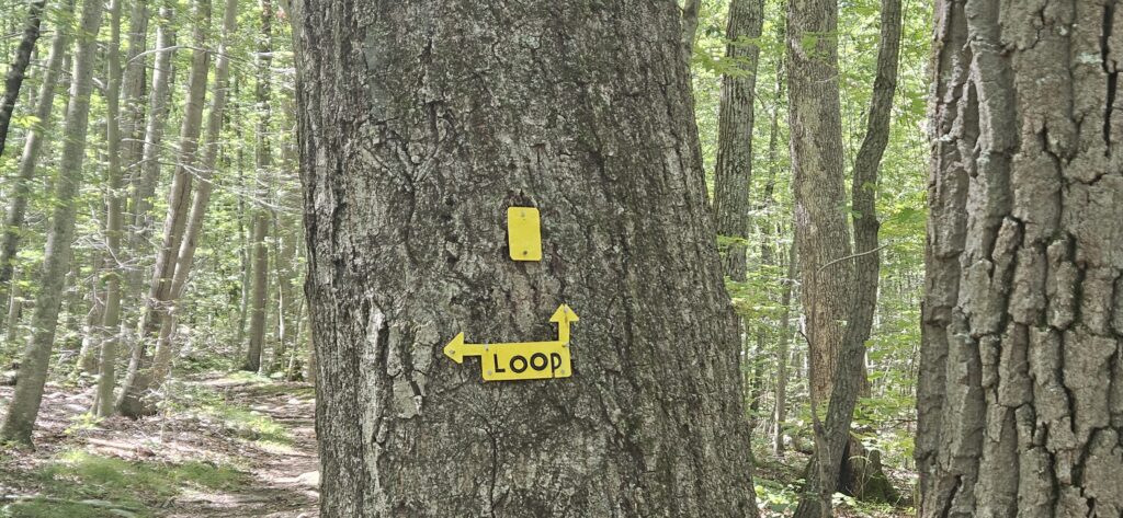 An image of a loop trail blaze on the Cooper Union Trail