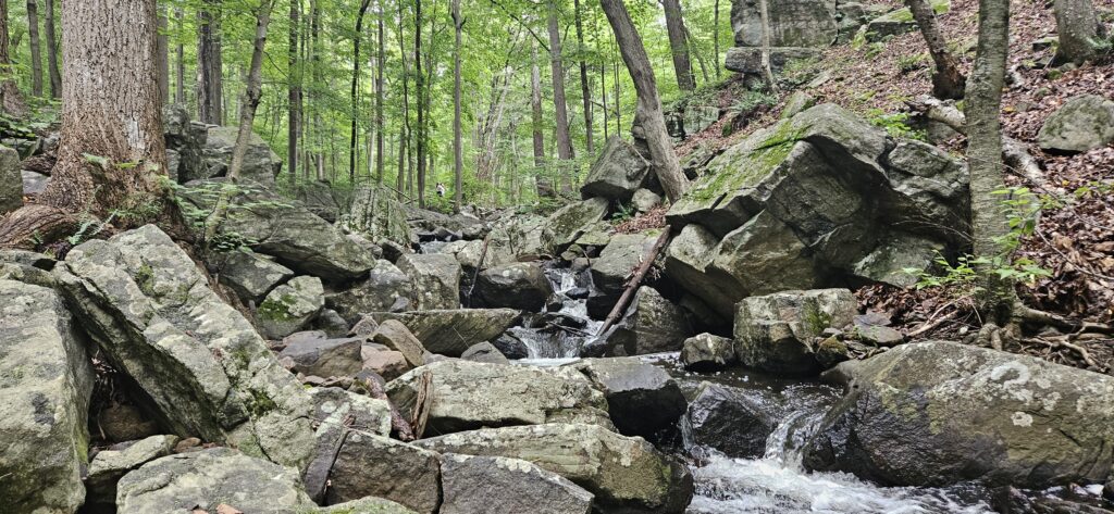 Exploring Dismal Harmony 4