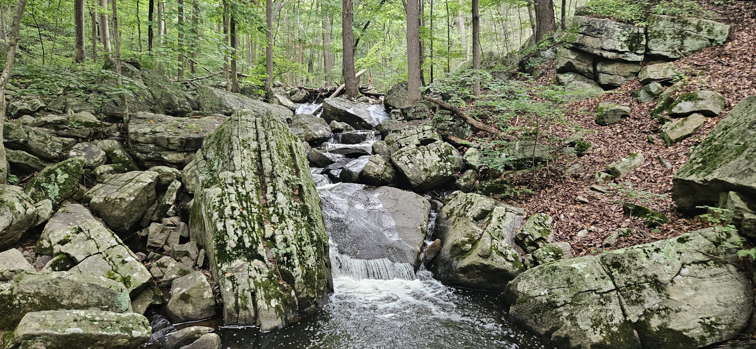 An image of a waterfall at Dismal Harmony
