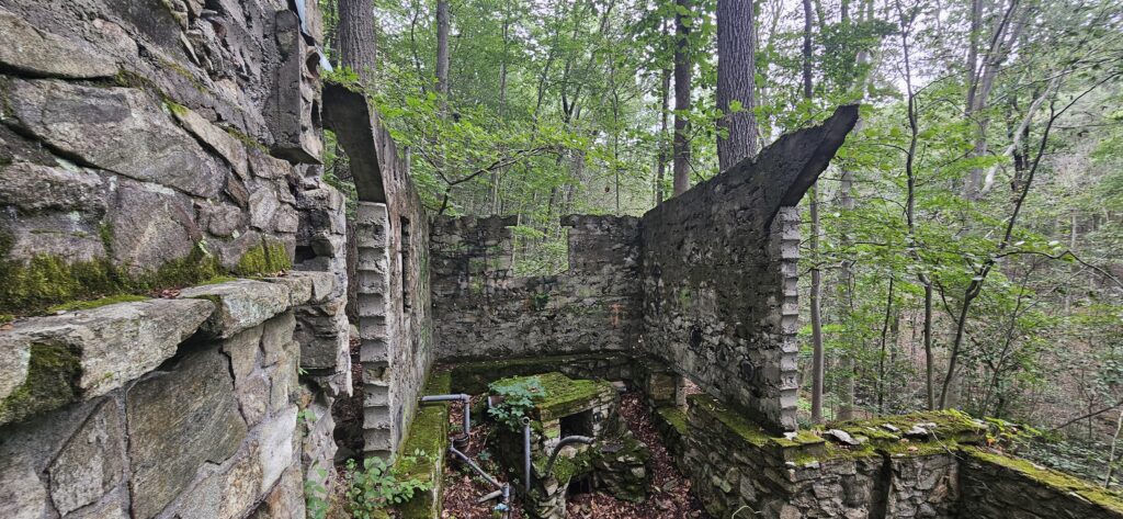 Exploring Dismal Harmony 2