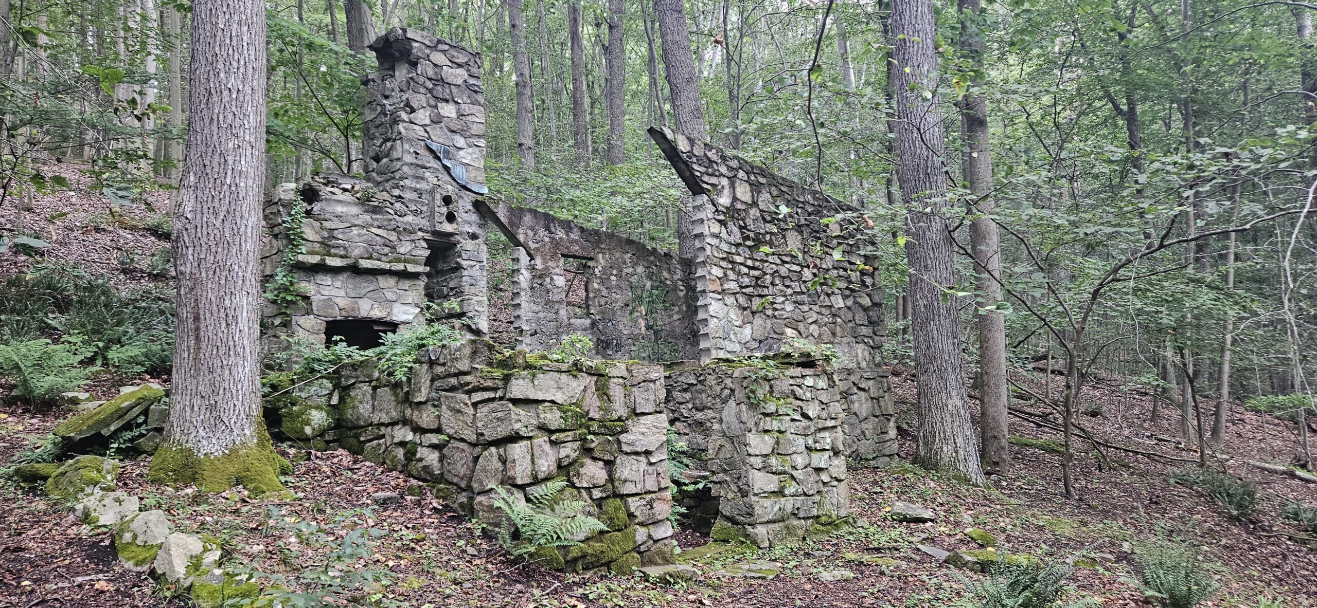 Exploring Dismal Harmony