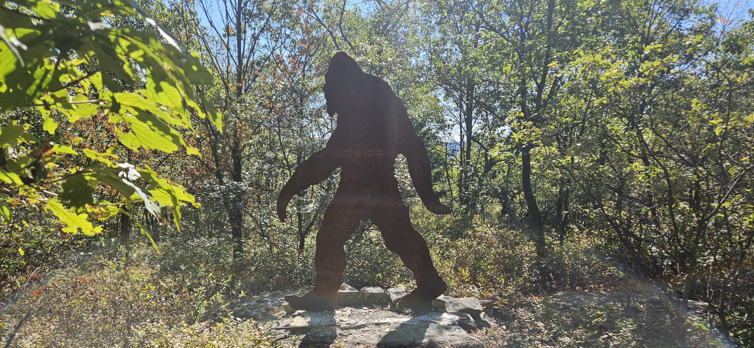 Finding Bigfoot on the Ringwood Sculpture Trail