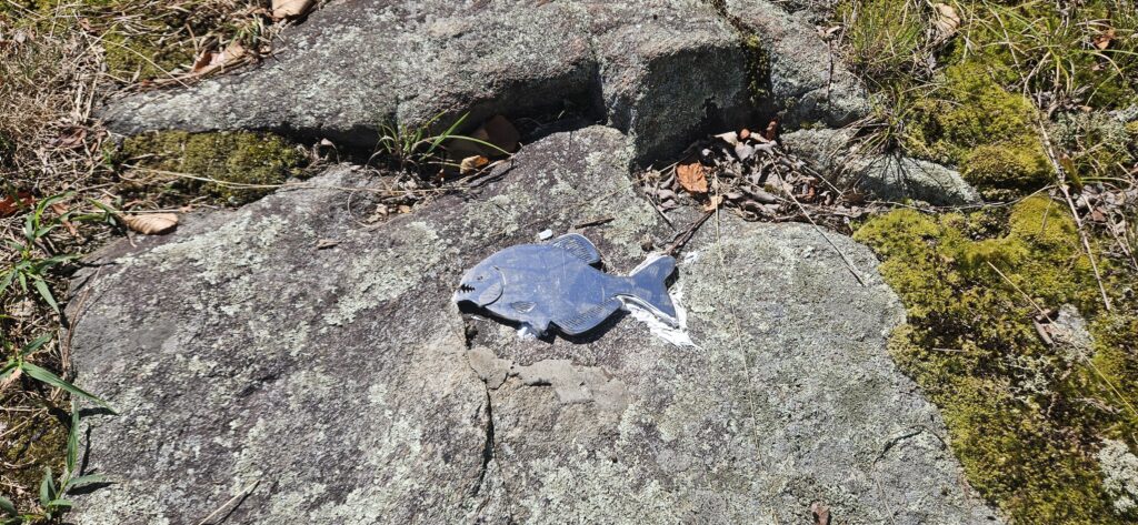 An image of a metal fish attached to a rock