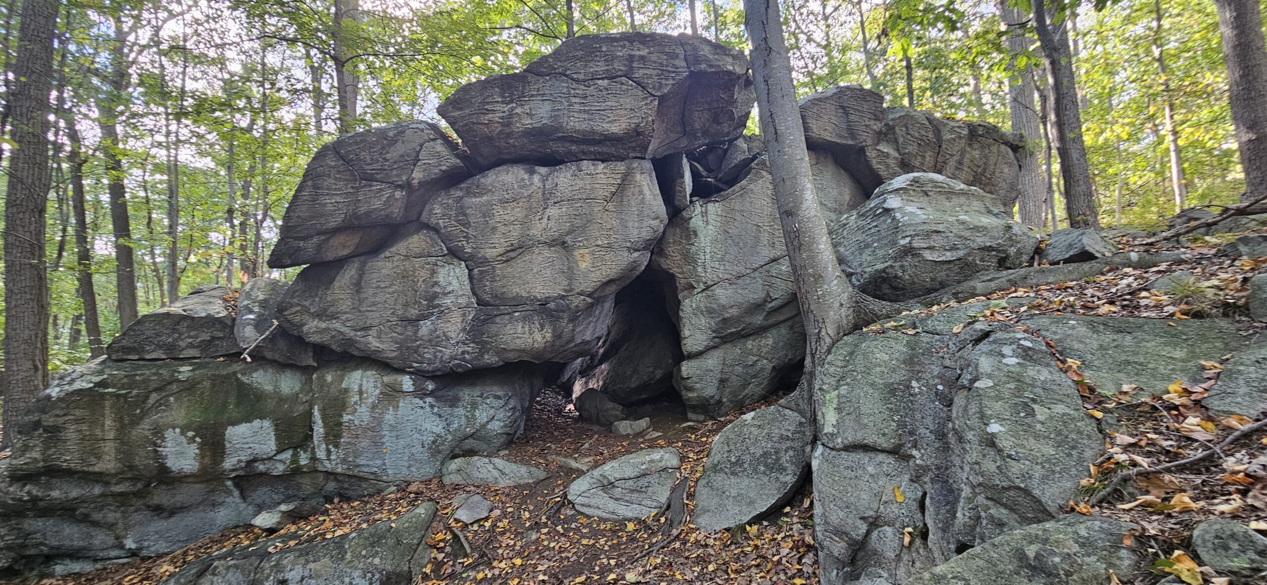 The Underrated Silas Condict County Park