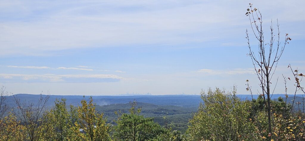 An image of New York City in the distance from a scenic overlook