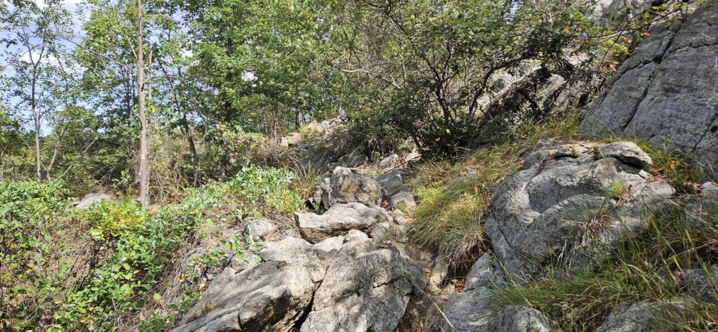 An image of a rocky trail