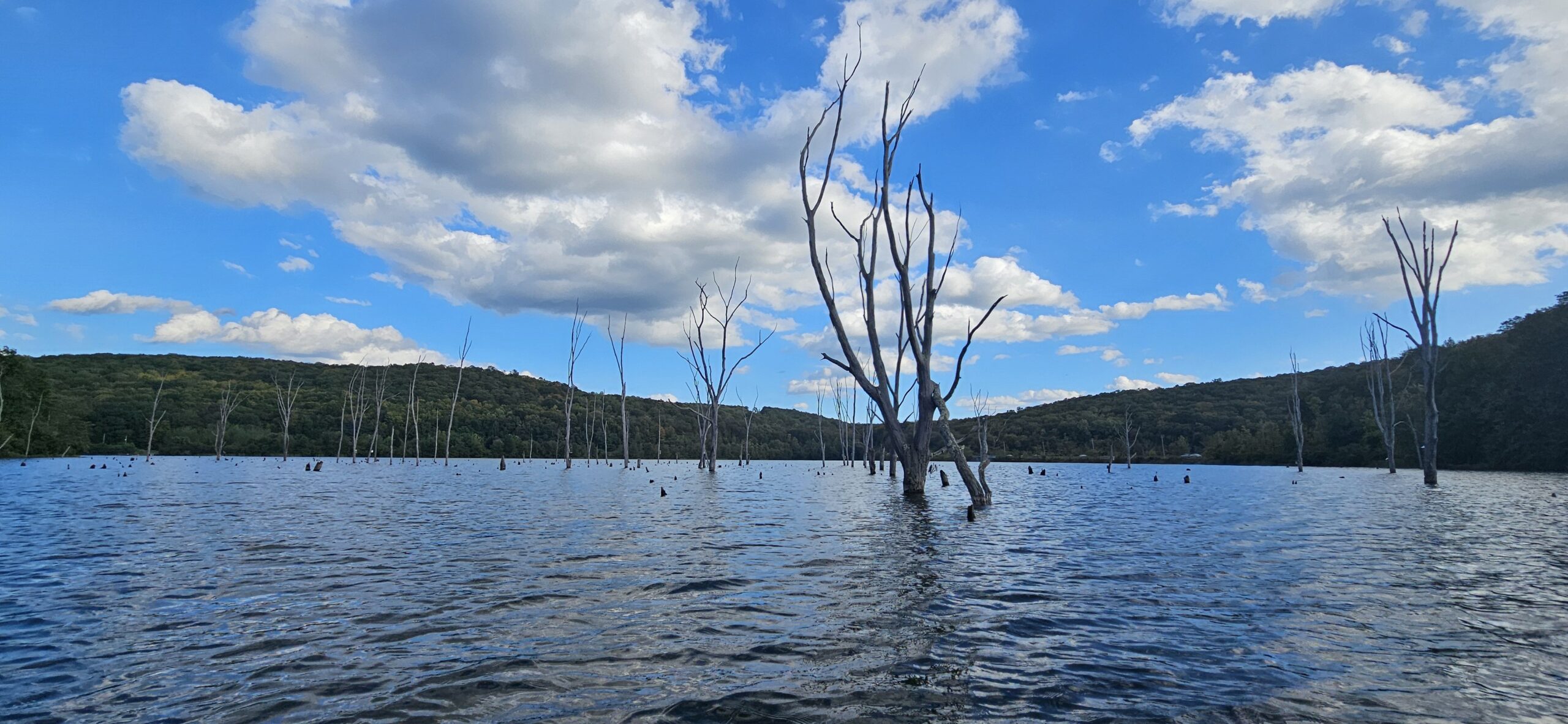 Kayaking the Excellent Monksville Reservoir