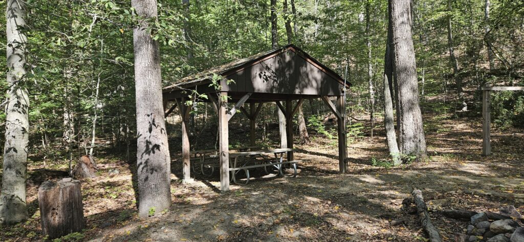 An image of a pavilion with picnic tables underneath in the woods