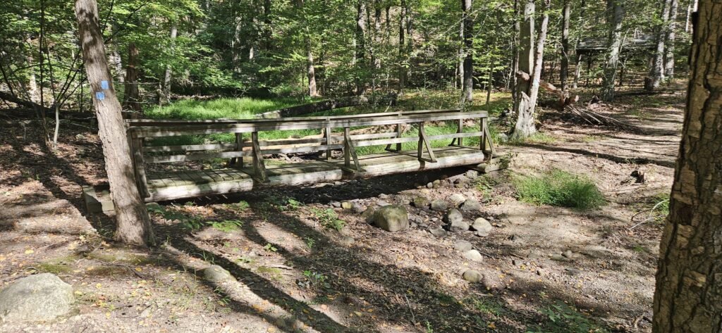 An image of a wooden bridge along a hiking trail crossing a dry stream
