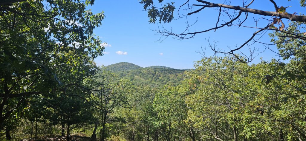 An image of an overlook featuring two mountain peaks